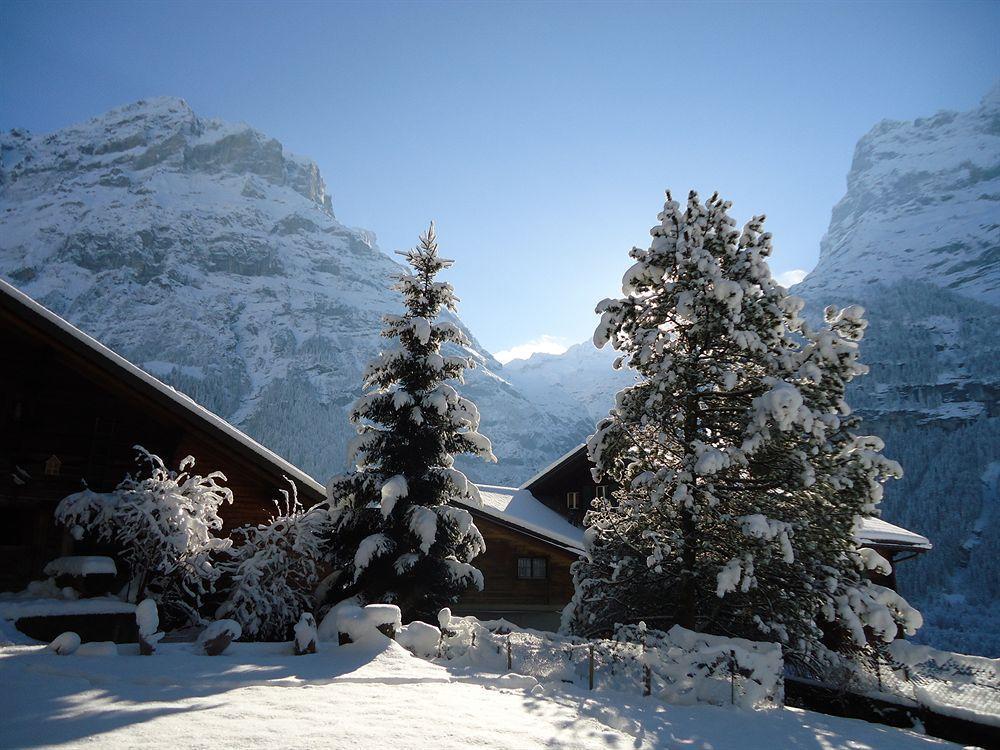 Tschuggen Apartment - No Kitchen Grindelwald Extérieur photo