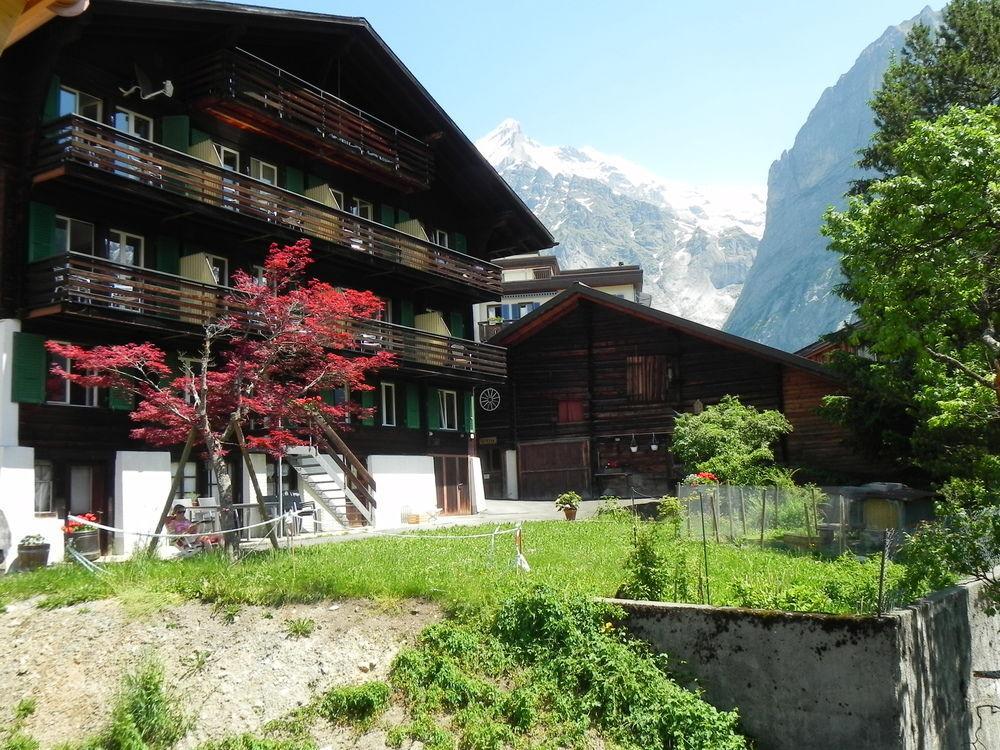 Tschuggen Apartment - No Kitchen Grindelwald Extérieur photo
