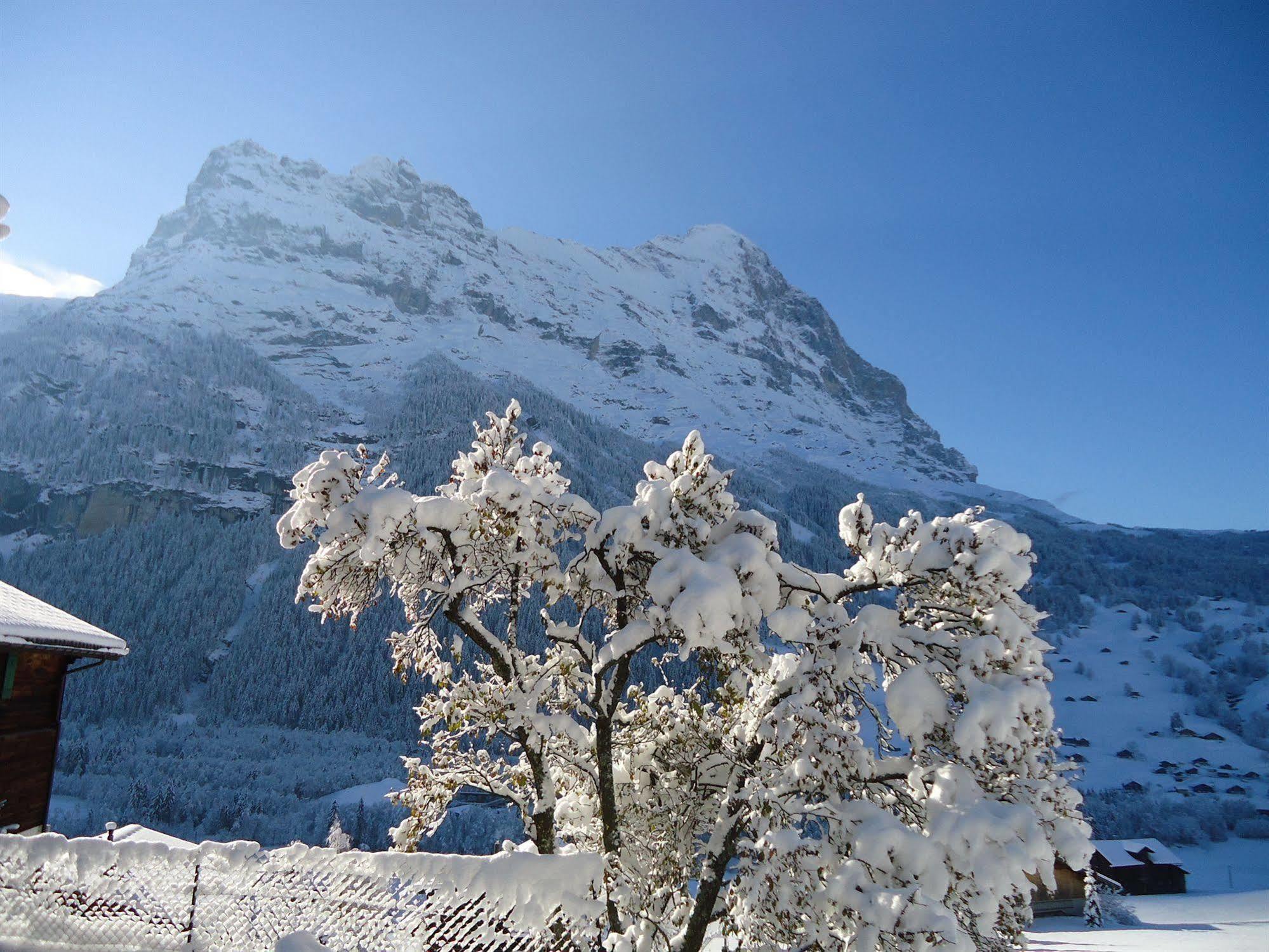 Tschuggen Apartment - No Kitchen Grindelwald Extérieur photo