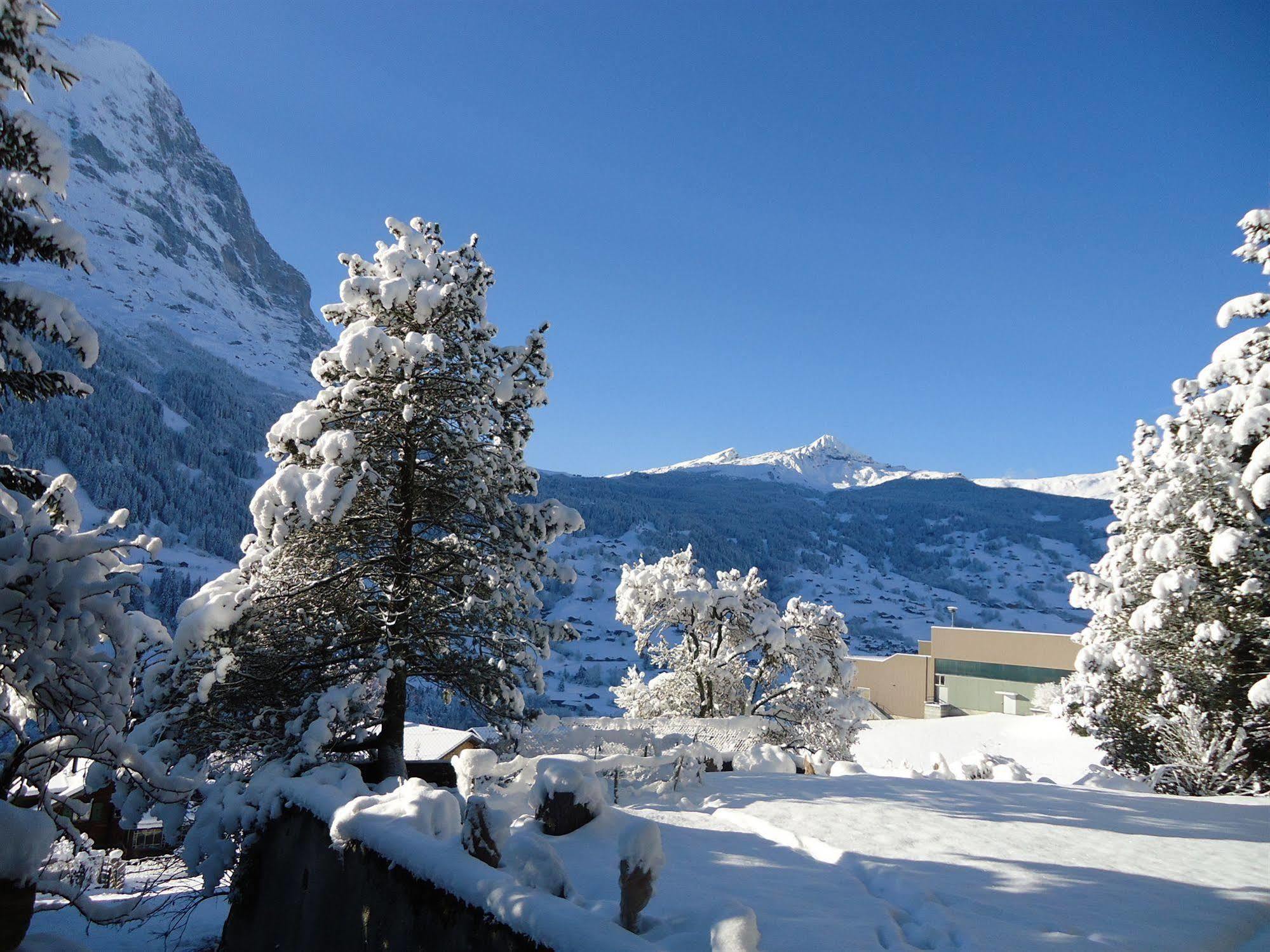 Tschuggen Apartment - No Kitchen Grindelwald Extérieur photo