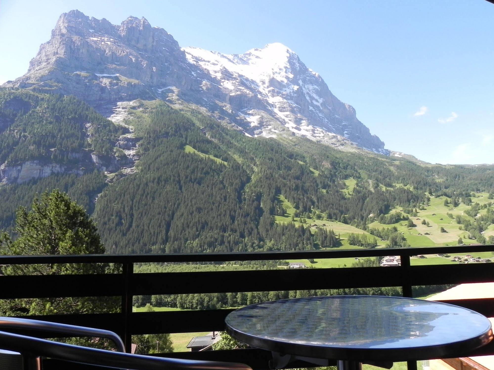 Tschuggen Apartment - No Kitchen Grindelwald Extérieur photo