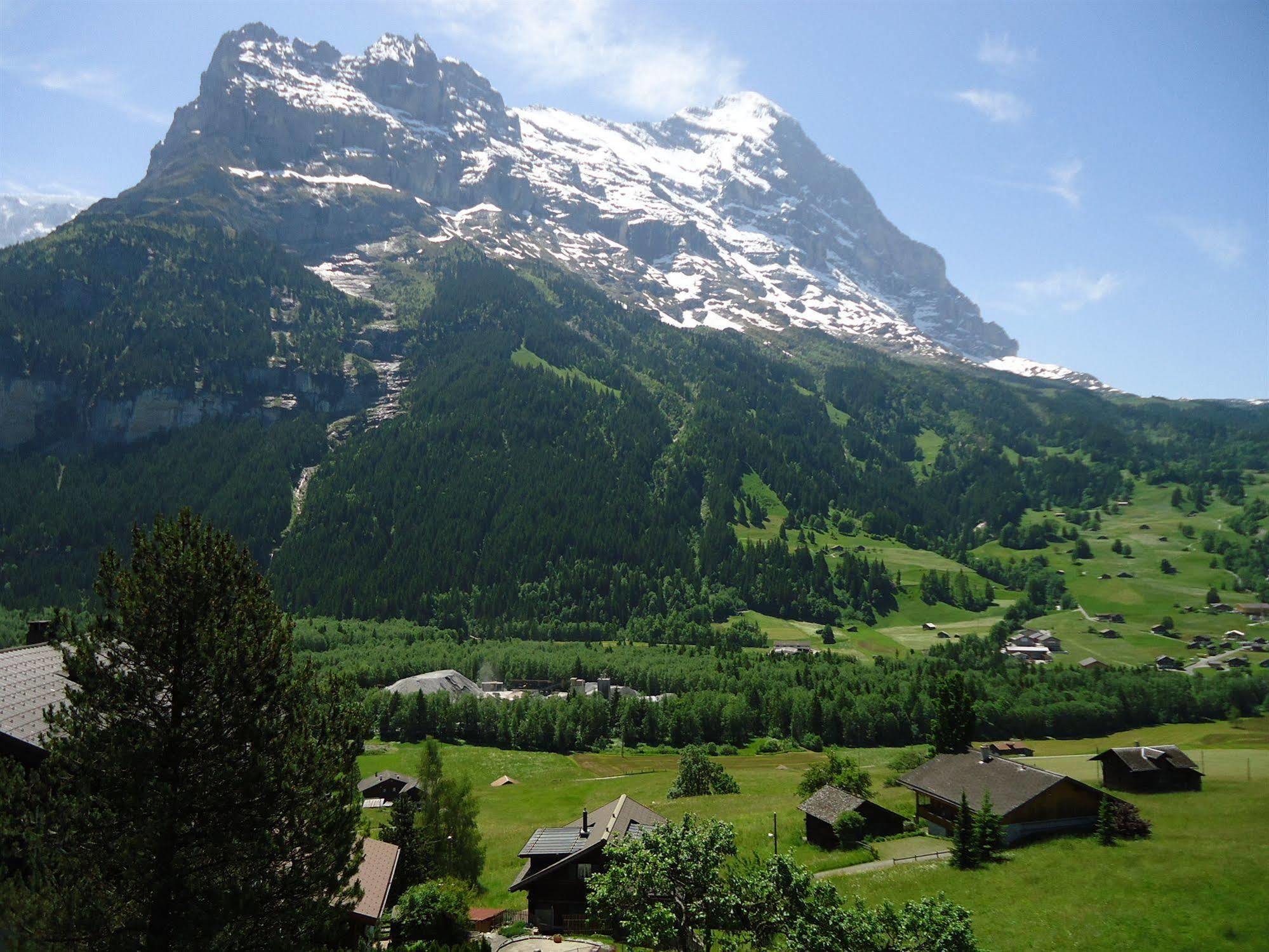 Tschuggen Apartment - No Kitchen Grindelwald Extérieur photo
